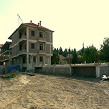 Plants: image 4 0f 5 thumb