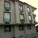 Plants: image 4 0f 5 thumb