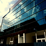 Plants: image 1 0f 5 thumb