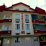 Plants: image 6 0f 6 thumb