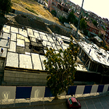 Plants: image 4 0f 5 thumb