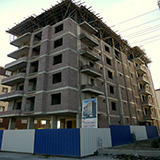 Plants: image 4 0f 5 thumb